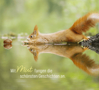 Zusatzmaterial PA 978 3 8485 0407 7 innen 013 von Kleine Glücksbringer für dich: Mit Fotos von Wildlife Photographer Julian Rad von Julian Rad