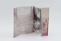 Zusatzmaterial PA 978 3 426 28441 4 detail 034 von My Dark Prince: Roman von L. J. Shen, Parker S. Huntington