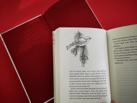 Zusatzmaterial PA 978 3 96340 278 4 innen 012 von When the heart shines: Geschichten für Sinnsucher von Hans Kruppa