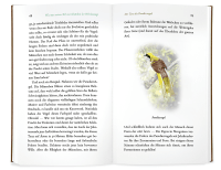 Kleine Philosophie der Vögel Zusatzmaterial