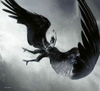 Zusatzmaterial U2 978 3 426 44796 3 von A Whisper of Wings: Roman von Carina Schnell