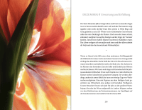 Das Glück wächst im Garten Zusatzmaterial