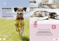 100 Dinge, die man von einem Hund lernen kann Zusatzmaterial