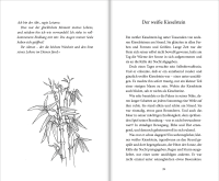 Zusatzmaterial PA 978 3 96340 278 4 innen 017 von When the heart shines: Geschichten für Sinnsucher von Hans Kruppa