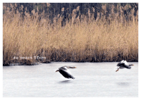 für dich – Postkartenbuch Zusatzmaterial