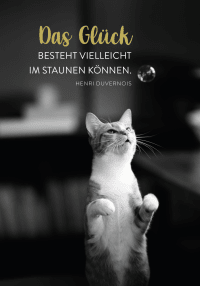 Buchkalender 2026: Für Katzenfreunde Zusatzmaterial