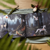 Zusatzmaterial PA 978 3 8485 0370 4 innen 033 von Magie des Waldes: Geschichten, Märchen und Mythen aus einer verwunschenen Welt von Kasia Sierpiński