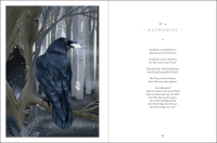 Zusatzmaterial PA 978 3 629 01555 6 innen 013 von Unter dem blauen Mond: Von Rauhnächten und dem mythischen Wesen der Natur von Katharina Hargutt