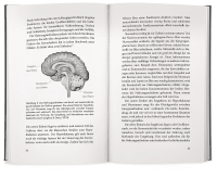 Hunger, Frust und Schokolade Zusatzmaterial