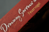Zusatzmaterial PA 978 3 426 56599 5 detail 034 von Drowning Sorrows in Raging Fire 1: Feuervogel von Priest