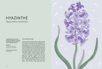 Die Welt der Blumen Zusatzmaterial