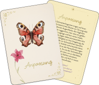 Orakelkarten: Zauber der Schmetterlinge Zusatzmaterial