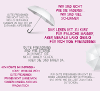 Zusatzmaterial U2 978 3 426 79169 1 von Wer uns nicht mag, kann uns gernhaben!: Zwei Freundinnen erfinden sich neu von Monika Bittl