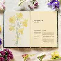 Zusatzmaterial PA 978 3 8485 0381 0 innen 033 von Die Welt der Blumen: Vergessene Weisheiten zauberhafter Blüten und Kräuter von Alison Davies, Sarah Wildling