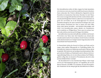 Zusatzmaterial PA 978 3 96340 208 1 innen 020 von Happiness grows in the garden: Es braucht nicht viel, um gut zu leben von Bruder Felix Weckenmann, Christoph Fasel