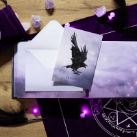 Zusatzmaterial PA 978 3 629 01596 9 innen 035 von University of the Enchanted: Magic, Love & Secrets von Lea Kaib