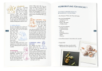 Zusatzmaterial PA 978 3 426 65896 3 innen 013 von 7 Minuten am Tag endlich kraftvoll und gelassen: Was die Seele stark macht! von Dr. med. Franziska Rubin