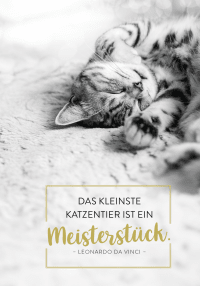 Zusatzmaterial PA 4036442014431 innen 012 von Buchkalender 2027: Für Katzenfreunde