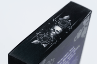 Zusatzmaterial PA 978 3 426 56334 2 detail 034 von The Darkest Academy 2 – Ashes von Beril Kehribar