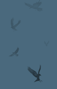Zusatzmaterial U3 978 3 426 52898 3 von Wen der Rabe ruft von Maggie Stiefvater