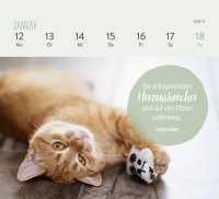 Mini-Wochenkalender 2026: Für Katzenfreunde Zusatzmaterial