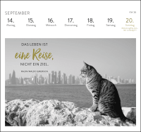 Postkartenkalender 2026: Inspirierende Worte für Katzenfreunde Zusatzmaterial