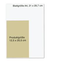 Machtübernahme Zusatzmaterial