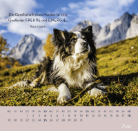 Zusatzmaterial PA 4036442014653 innen 012 von Wandkalender 2027: Für Hundefreunde