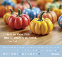 Mini-Kalender 2027: Der kleine Glückskalender Zusatzmaterial