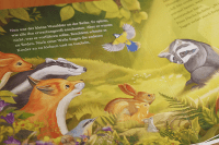 Der kleine Waschbär traut sich was – ein Bilderbuch für Kinder ab 2 Jahren Zusatzmaterial