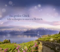 Zusatzmaterial U2 978 3 426 53026 9 von Die verborgene Tochter: Roman von Soraya Lane