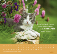 Wandkalender 2026: Einfach mal abhängen Zusatzmaterial