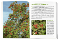 Die Wildpflanzen-Apotheke Zusatzmaterial