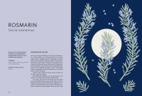 Die Welt der Blumen Zusatzmaterial