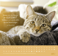 Zusatzmaterial PA 4036442014660 innen 012 von Wandkalender 2027: Für Katzenfreunde