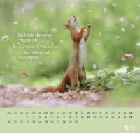 Zusatzmaterial PA 4036442014882 innen 011 von Wandkalender 2027: Kleine Glücksbringer für dein Jahr von Julian Rad