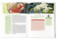 Die Wildpflanzen-Apotheke Zusatzmaterial