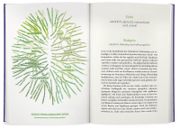 Die geheimnisvolle Macht der Farben Zusatzmaterial