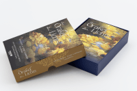 Zusatzmaterial PA 978 3 426 56183 6 detail 033 von Das Orakel des Lichts: Die lebensverändernde Kraft der Bhagavad Gita von Anthony Salerno, Toni Carmine Salerno
