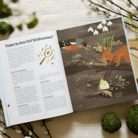 Zusatzmaterial PA 978 3 629 01032 2 innen 034 von Spielplatz Wald: Lustige und kreative Ideen für das ganze Jahr  von Julia Wiberg, Cecilia Heikkilä