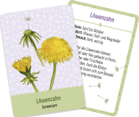 Pflück dir Glück Zusatzmaterial