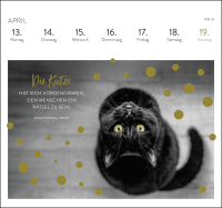 Postkartenkalender 2026: Inspirierende Worte für Katzenfreunde Zusatzmaterial