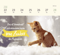 Mini-Wochenkalender 2026: Für Katzenfreunde Zusatzmaterial