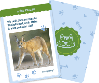 Warum haben Katzen Angst vor Gurken? Zusatzmaterial