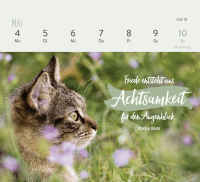 Mini-Wochenkalender 2026: Für Katzenfreunde Zusatzmaterial