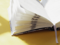 Zusatzmaterial PA 978 3 96340 319 4 innen 014 von Heute ist Zeit zum Leben: 365 gute Gedanken für jeden Tag – Jahreslesebuch von Rainer Haak