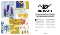 Zusatzmaterial PA 978 3 8485 0377 3 innen 013 von Blumenzauber – Mein blühendes Paradies auf Balkon und Terrasse von Jennita Jansen