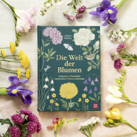 Die Welt der Blumen Zusatzmaterial