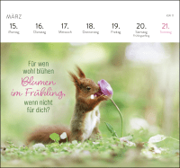 Zusatzmaterial PA 4036442014790 innen 011 von Postkartenkalender 2027: Kleine Glücksbringer für dein Jahr von Julian Rad