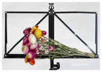 feste feiern – Postkartenbuch Zusatzmaterial